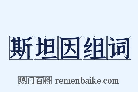 斯坦因组词是什么意思的图片